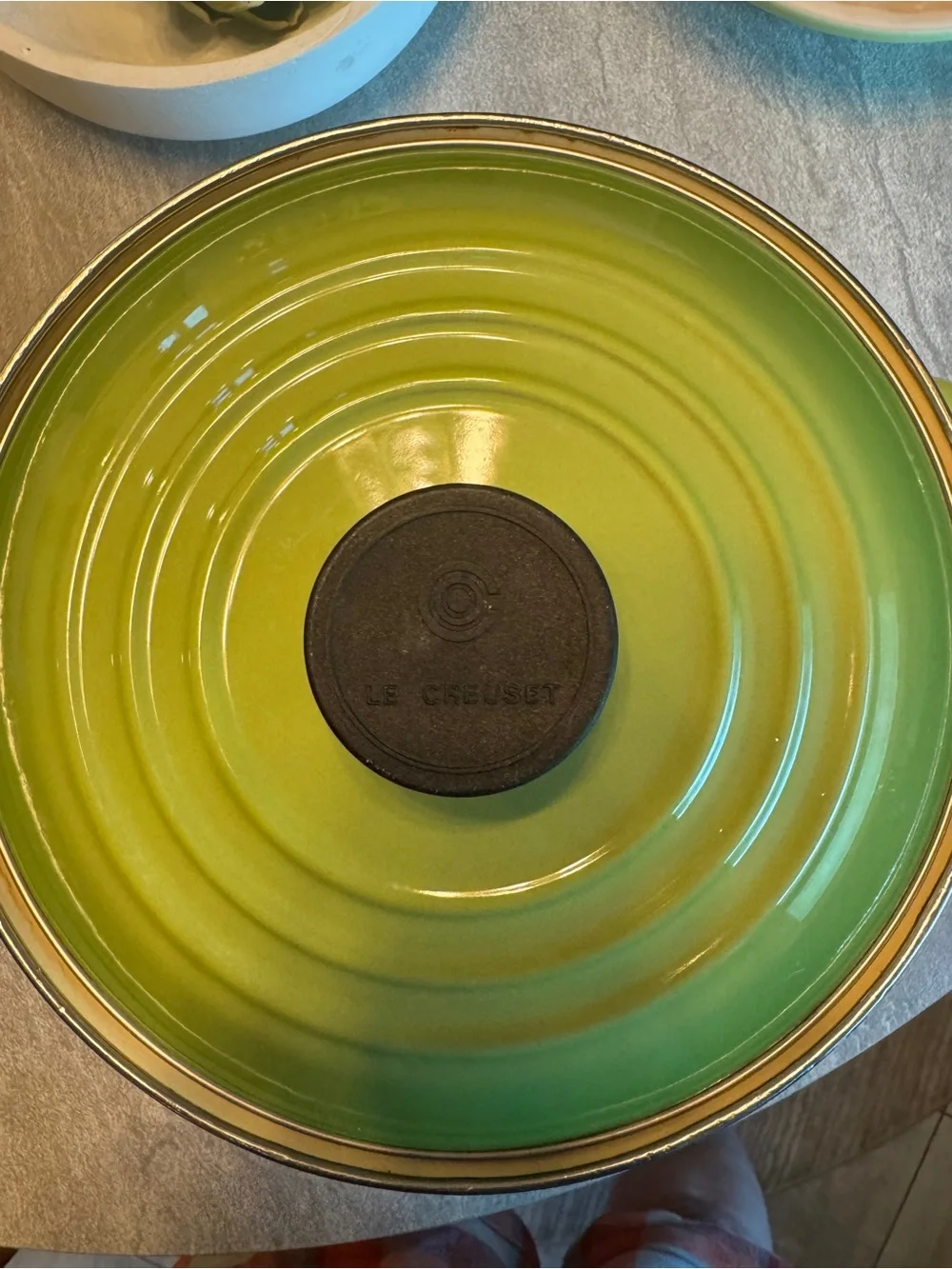 Le Cruset Stockpot with Lid (Palm)